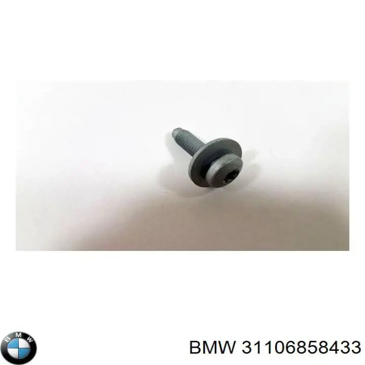 Perno de fijación del brazo inferior delantero BMW 31106858433 precio, desde 4,78 EUR