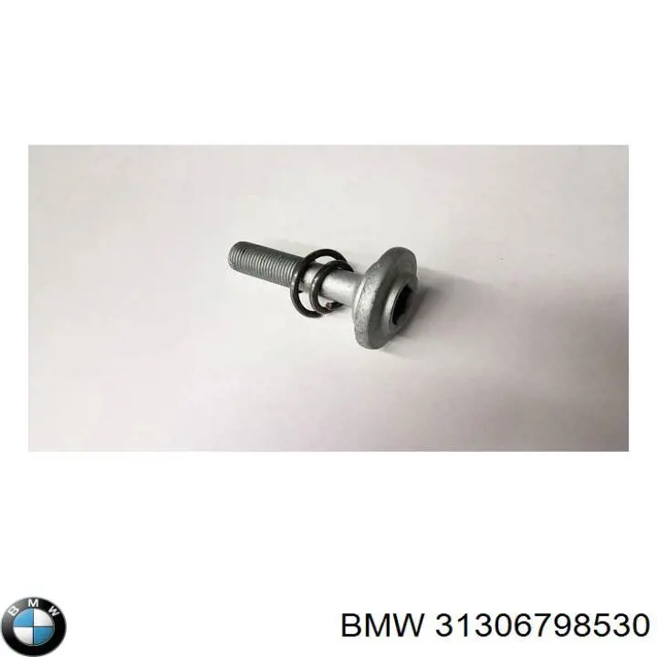 Perno de fijación del brazo oscilante delantero BMW 31306798530 precio, desde 4,95 EUR