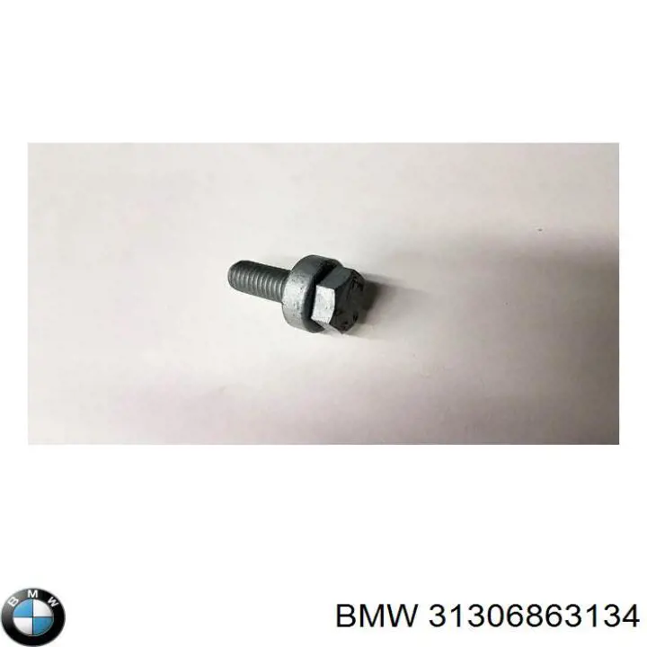 Perno de fijación del brazo inferior delantero BMW 31306863134 precio, desde 4,37 EUR
