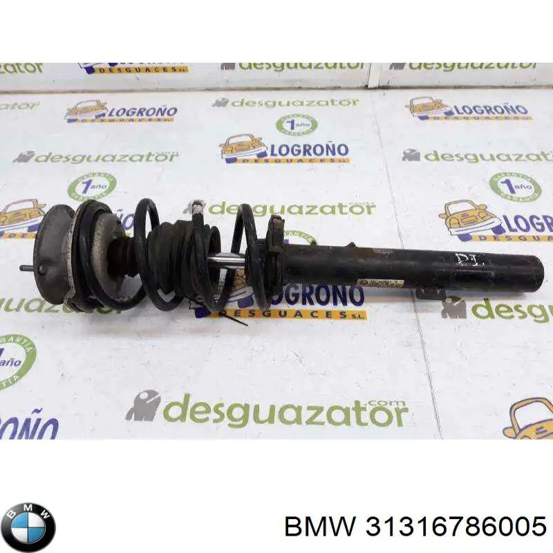 Amortiguador delantero izquierdo 31316786005 BMW