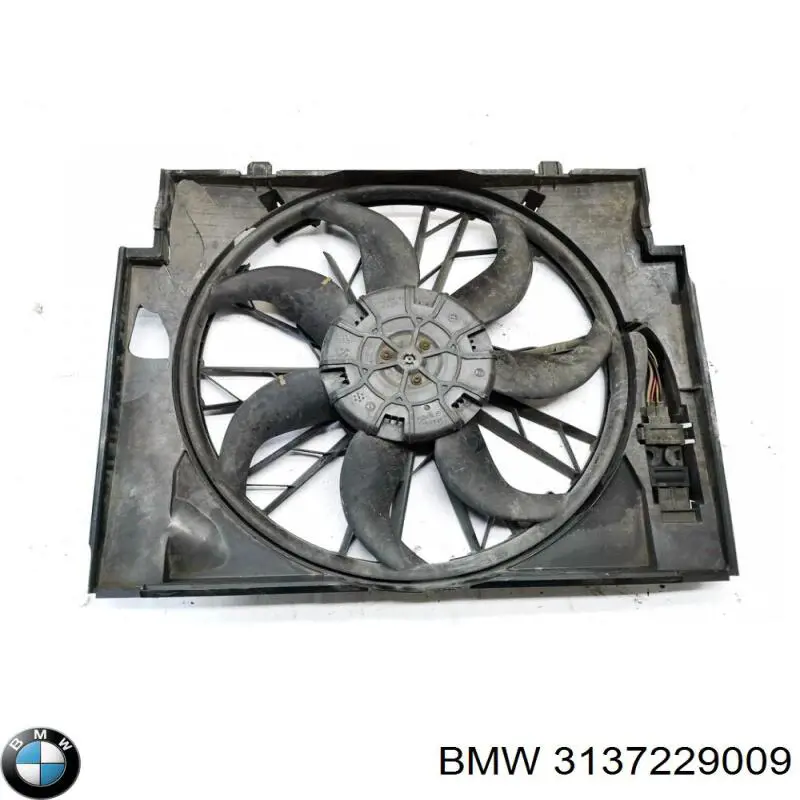 3137229009 BMW