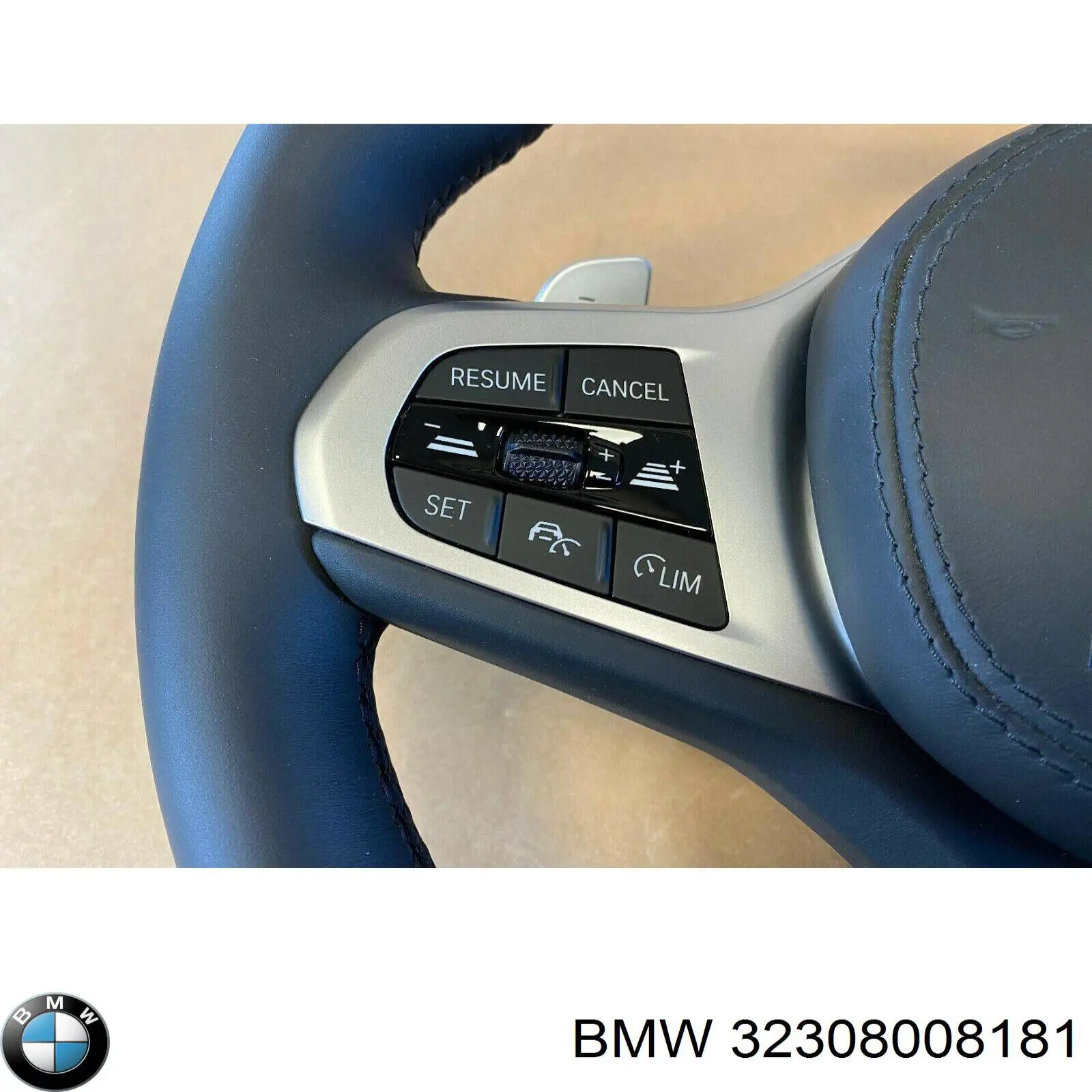 32308008181 BMW Volante