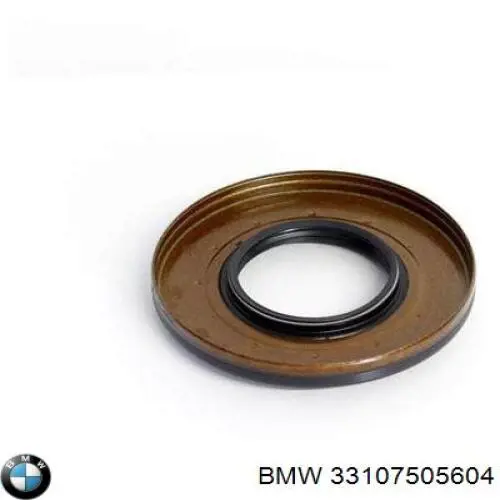 Retén del diferencial del eje trasero 33107505604 BMW
