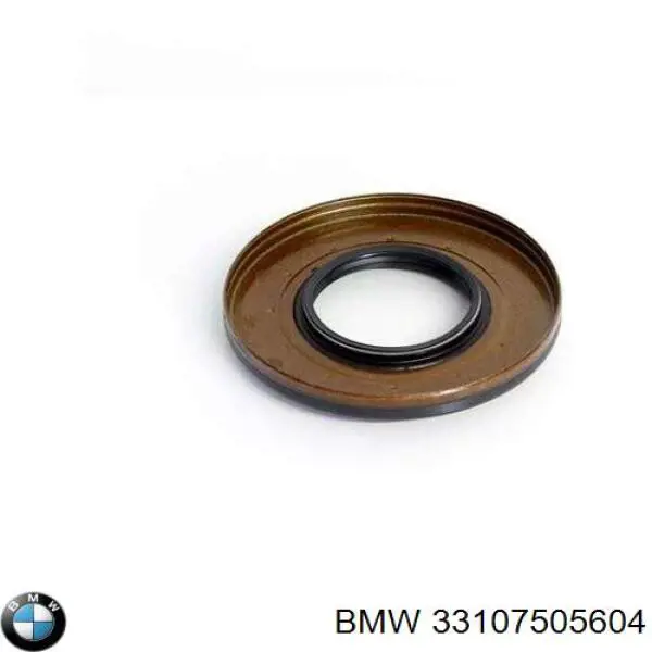 Retén del diferencial del eje trasero BMW 33107505604