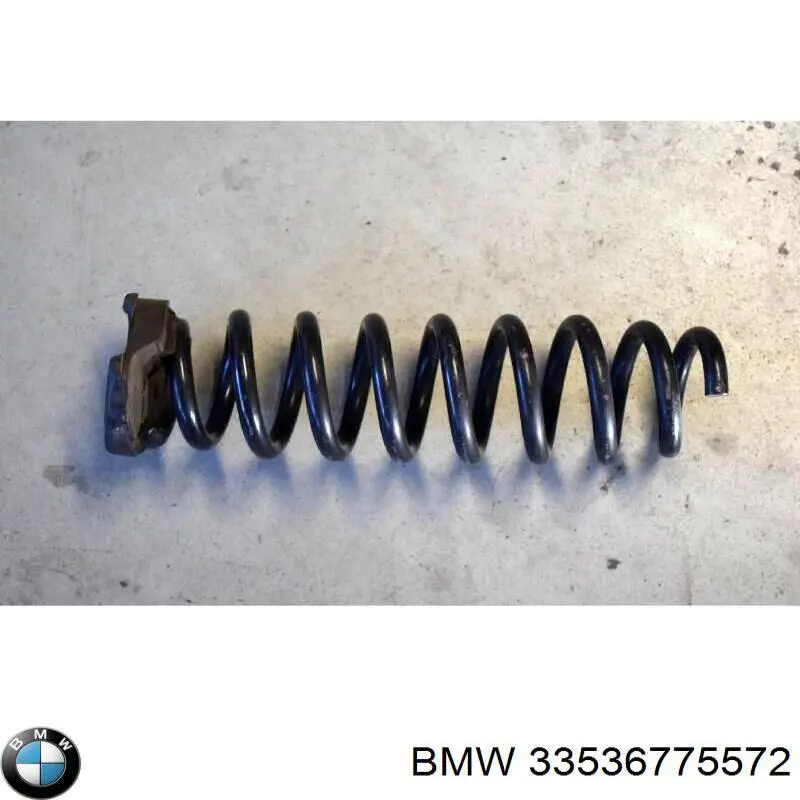 Muelle 33536775572 BMW