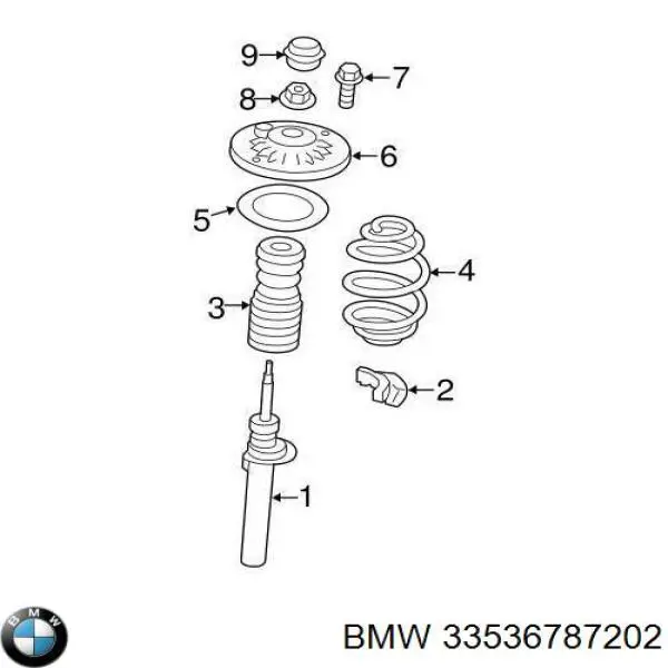 Muelle 33536787202 BMW
