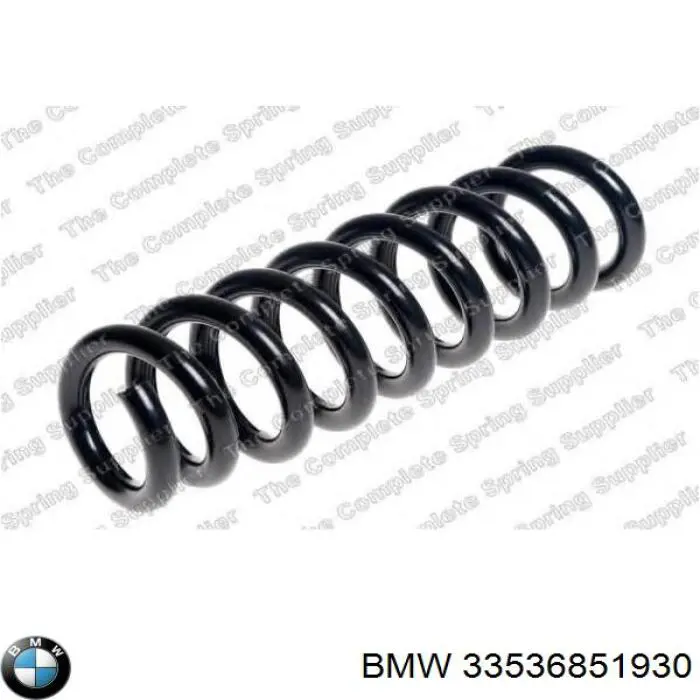 Muelle 33536851931 BMW