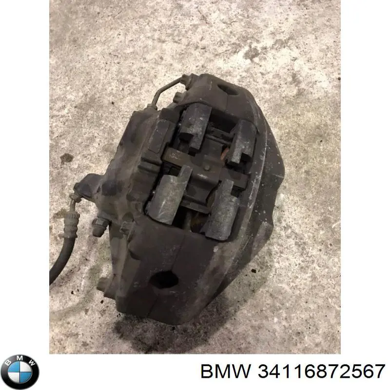 34116872567 BMW