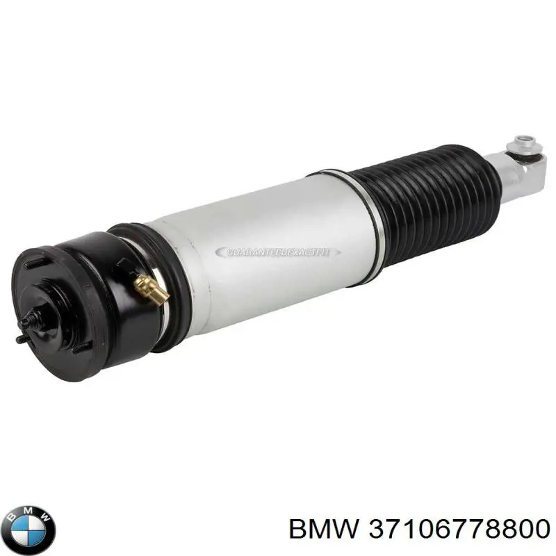 37106778800 BMW amortiguador trasero derecho