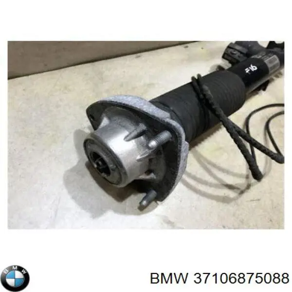 Comprar 37106875088 BMW Amortiguador trasero derecho