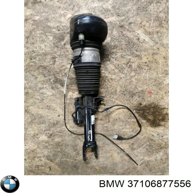 37106877556 BMW