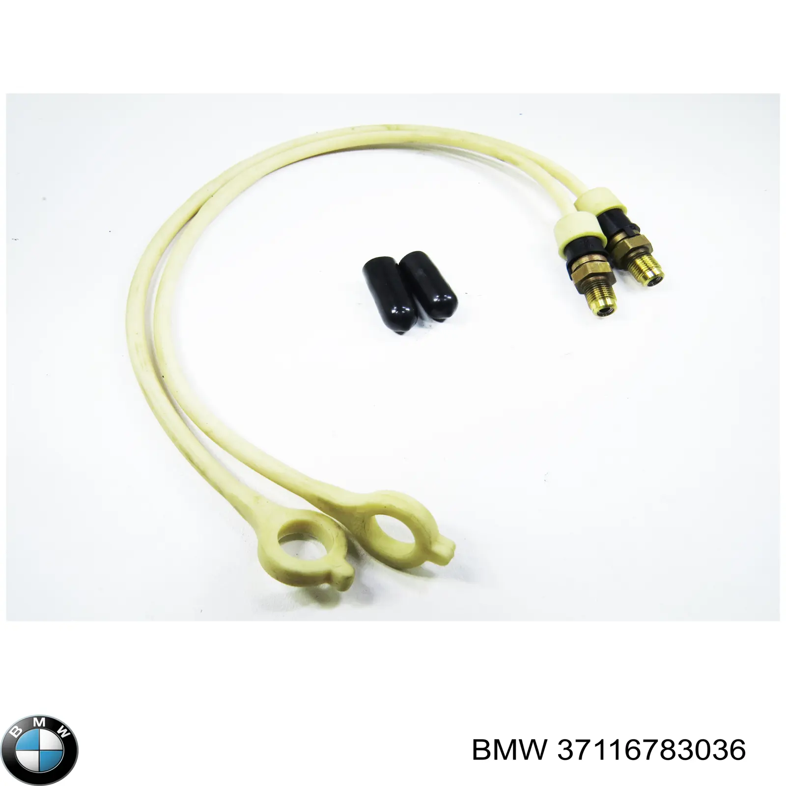 37116783036 BMW