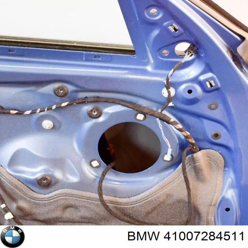 41009628759 BMW Puerta delantera