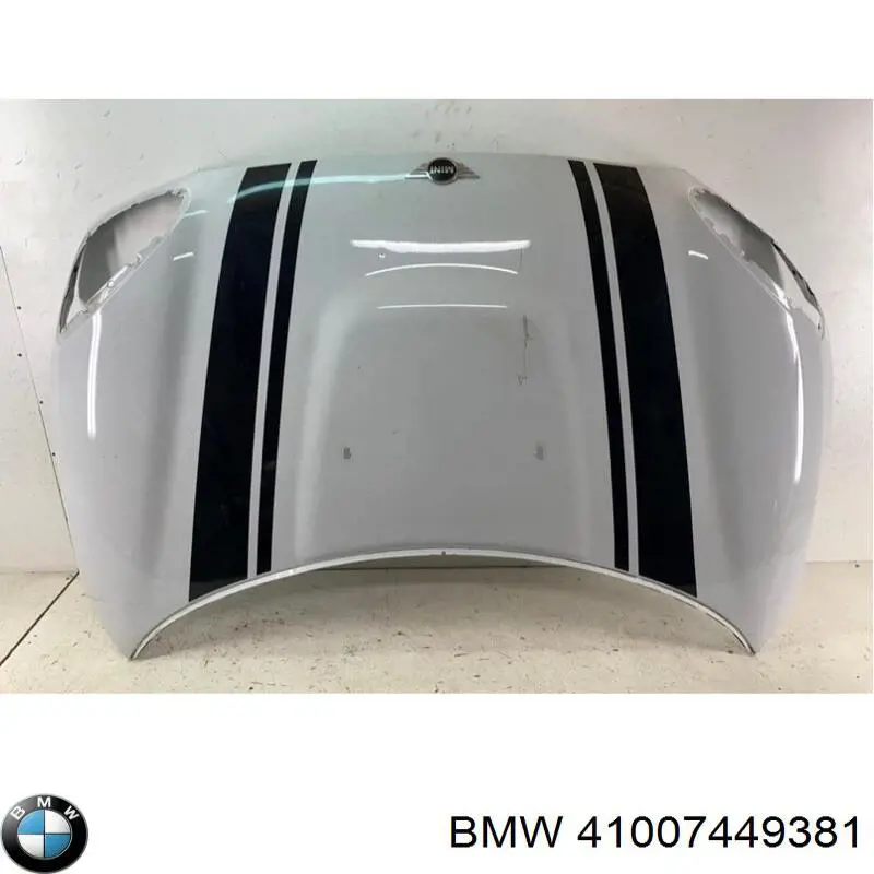 41007449381 BMW