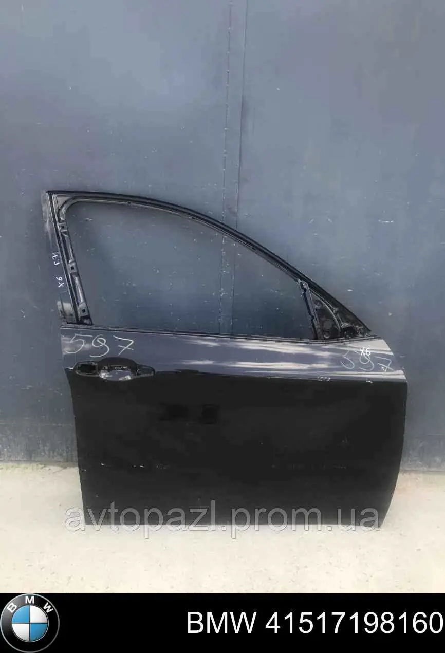 Comprar 41517198160 BMW Puerta delantera derecha