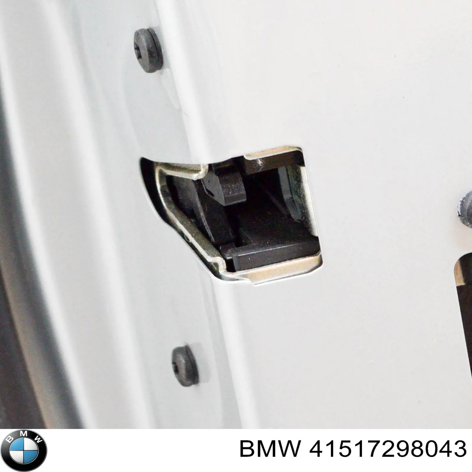 41517298043 BMW Puerta delantera