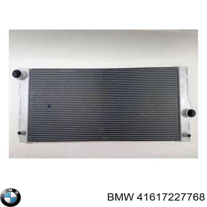 Comprar 41617227768 BMW Capó