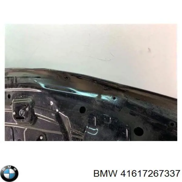 Capó 41617267337 BMW
