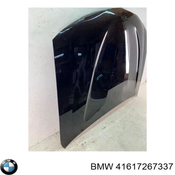 Comprar 41617267337 BMW Capó