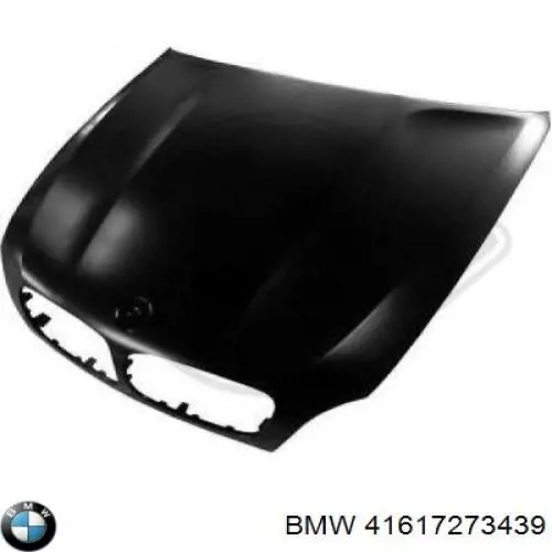Capó 41117174379 BMW