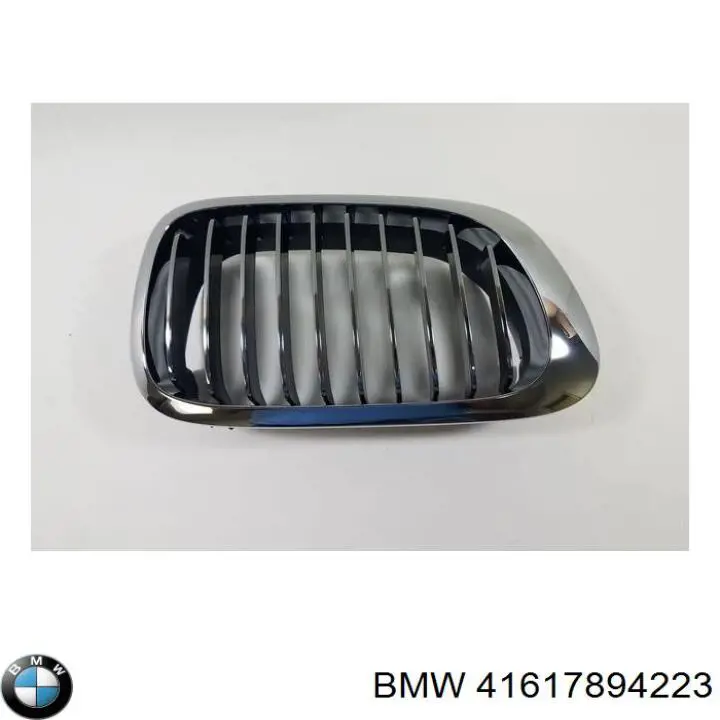 41617894223 BMW Capó delantero