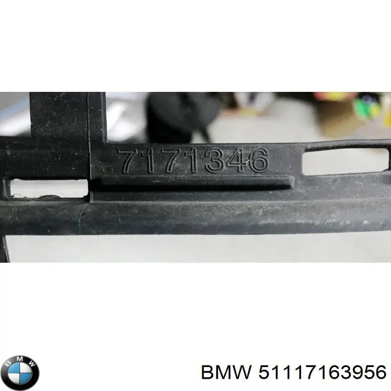 Comprar 51117163956 BMW Rejilla central del parachoques delantero