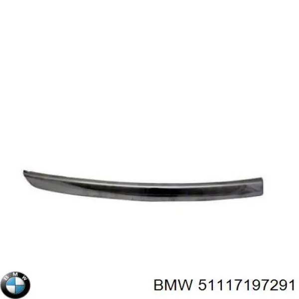 51117197291 BMW moldura de parachoques delantero izquierdo
