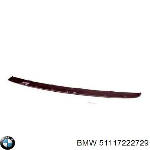 51117222729 BMW cubierta, parachoques delantero