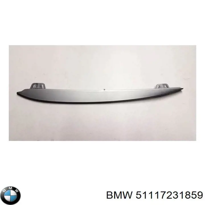 Comprar 51117231859 BMW Moldura de parachoques delantera izquierda