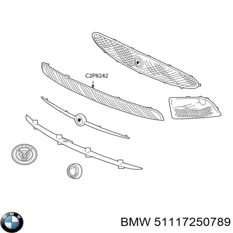 51117250789 BMW