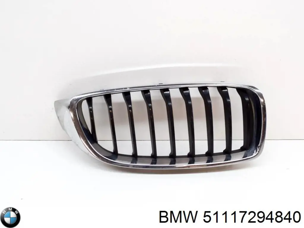 Embellecedor de faro antiniebla derecho BMW 51117294840 precio, desde 39,73 EUR