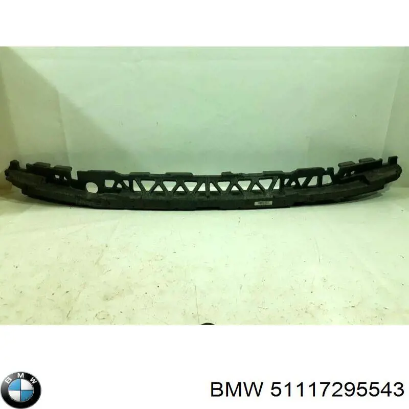 51117295543 BMW