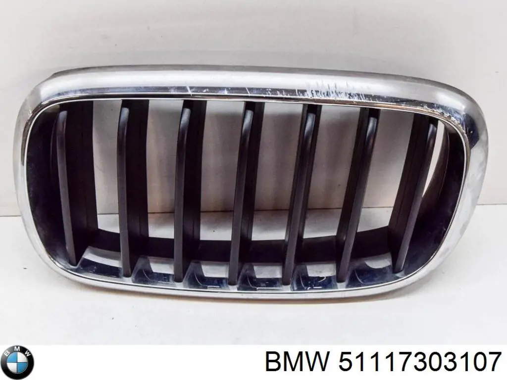 Parrilla izquierda del radiador BMW 51117303107 precio, desde 44,71 EUR