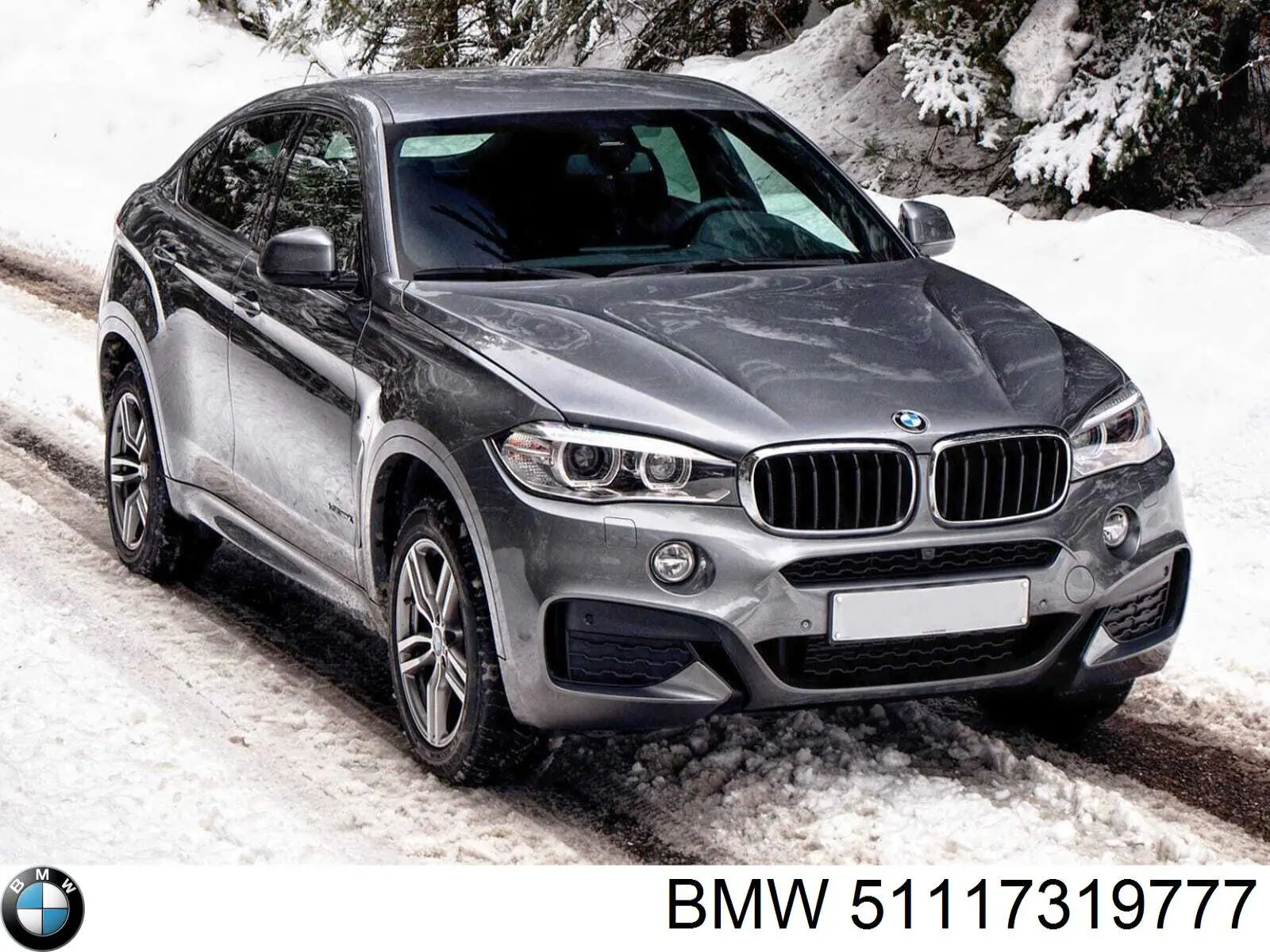 Tapa de rejilla de faro antiniebla delantero izquierdo BMW 51117319777 precio, desde 70,04 EUR