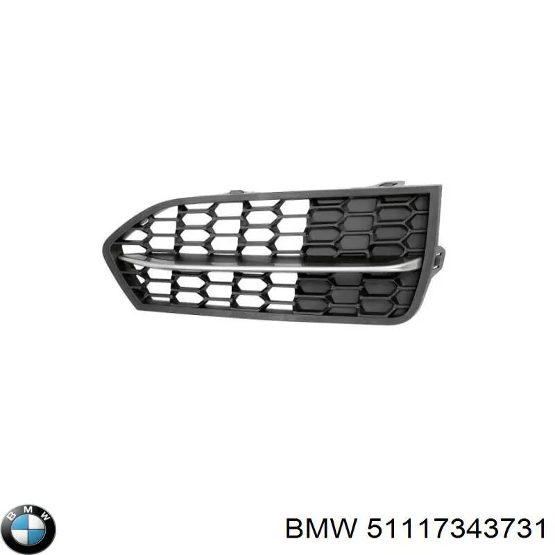 Comprar 51117343731 BMW 