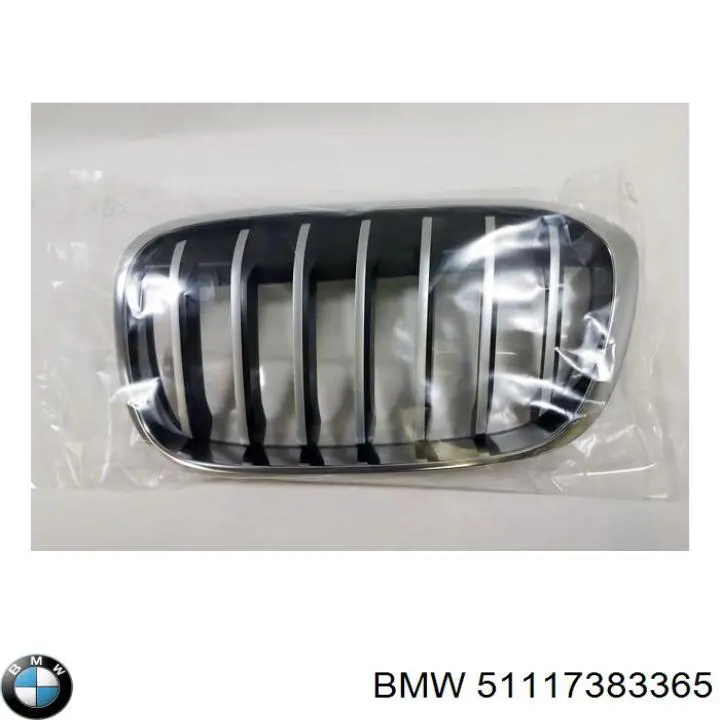 Panal de radiador izquierda para BMW X1 (F48)