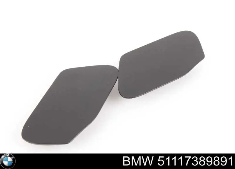Protector, parachoques delantero BMW 51117389891 precio, desde 58,74 EUR