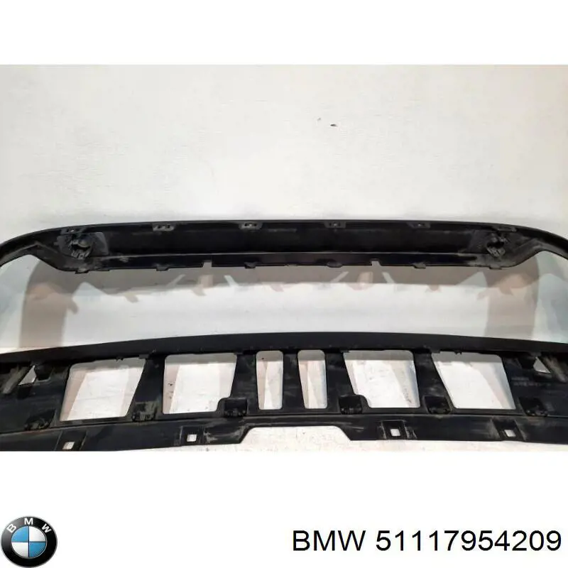 51117954209 BMW