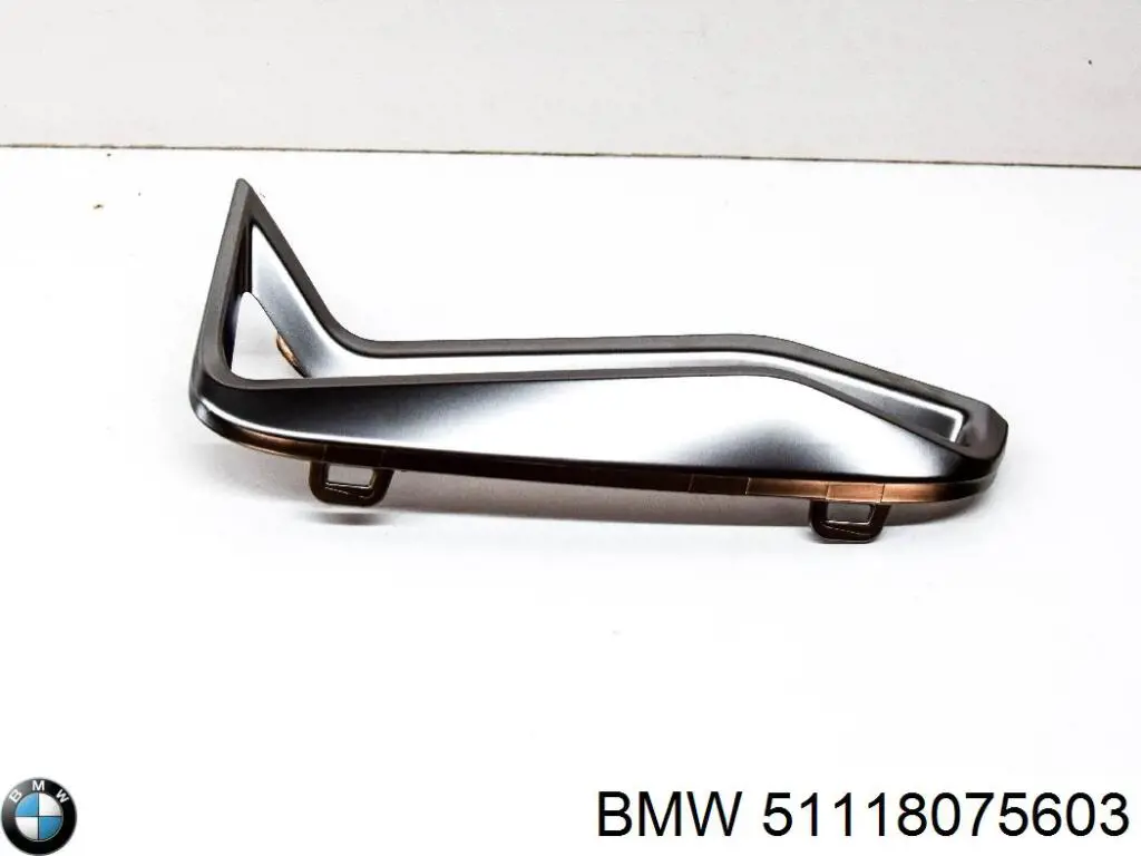  BMW 51118075603 precio, desde 111,67 EUR