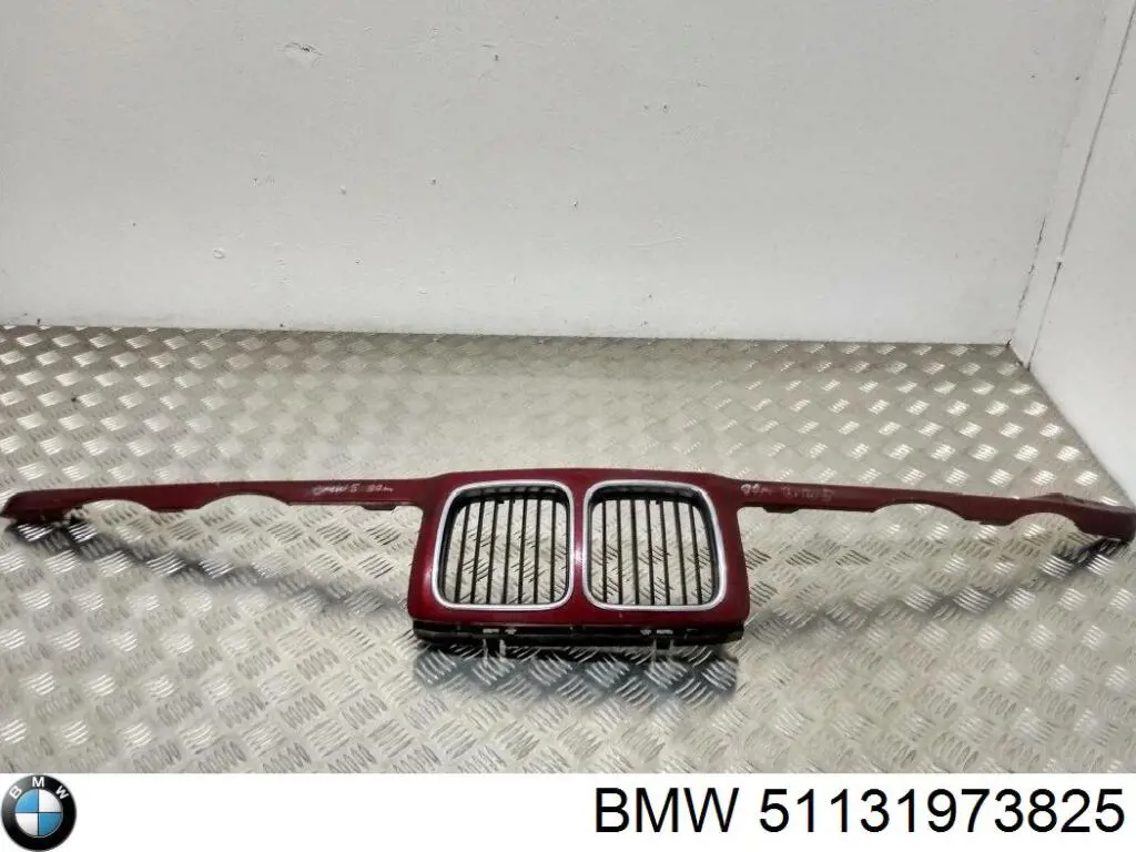 Rejilla delantera BMW 51131973825 precio, desde 32,94 EUR