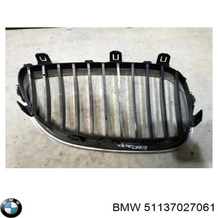 Parrilla izquierda del radiador BMW 51137027061 precio, desde 42,97 EUR