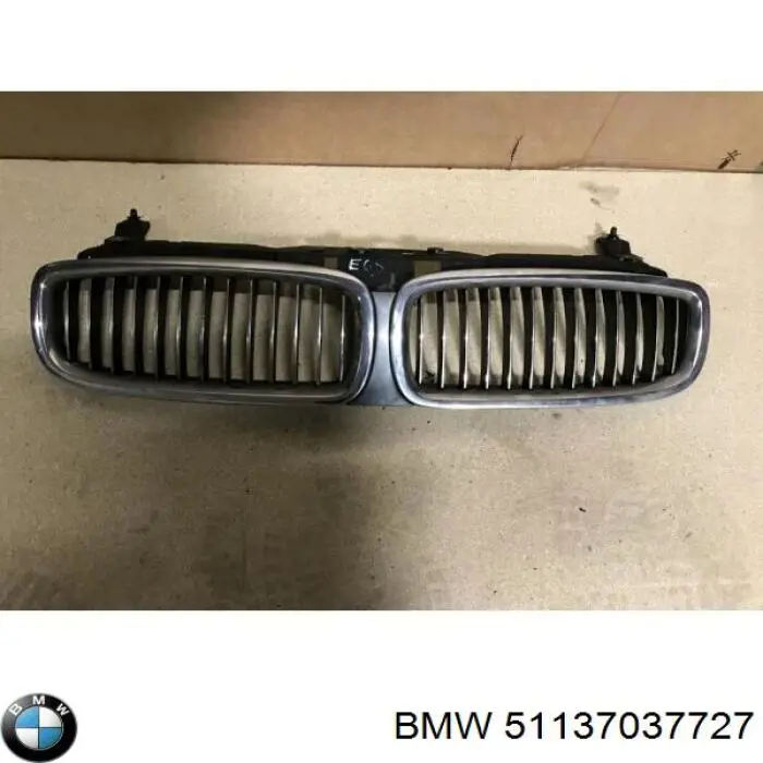 Rejilla delantera BMW 51137037727 precio, desde 64,21 EUR