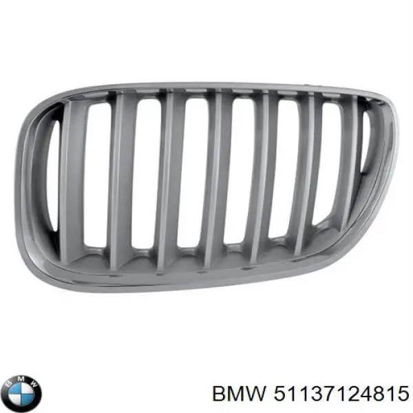 Comprar 51137124815 BMW Rejilla izquierda