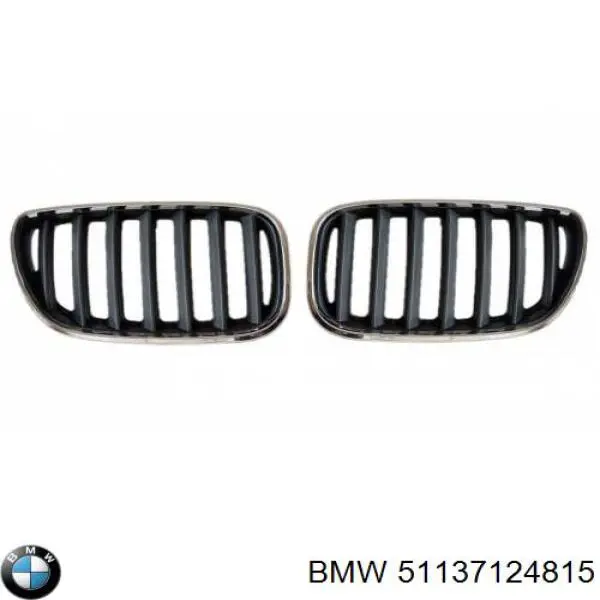 Comprar 51137124815 BMW Rejilla izquierda