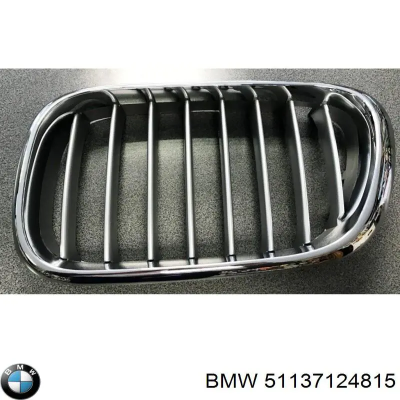 51137124815 BMW panal de radiador izquierda