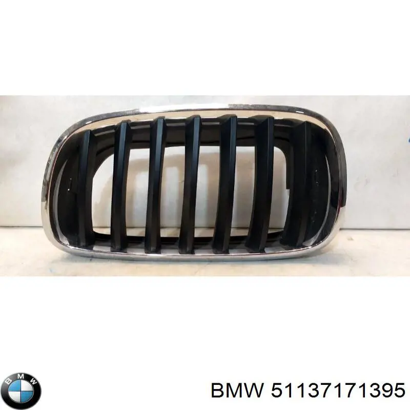 Comprar 51137171395 BMW Rejilla izquierda