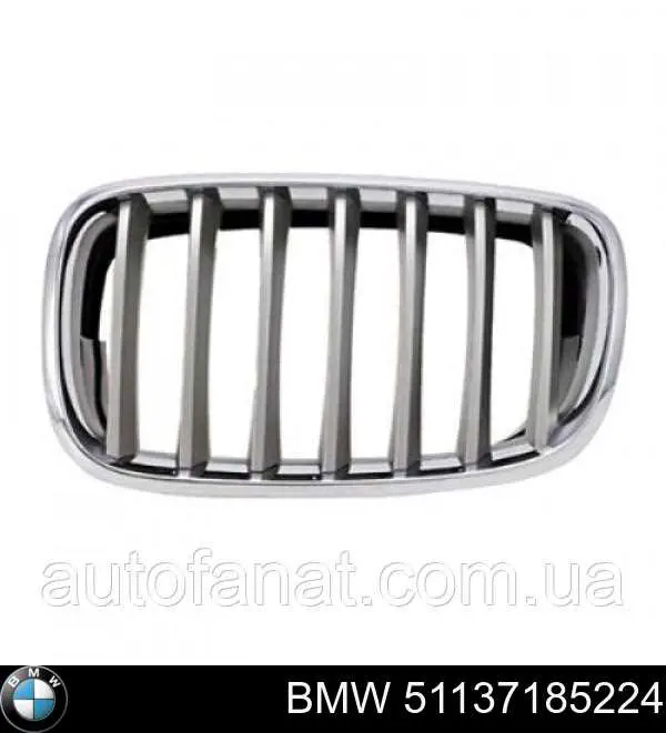 Comprar 51137185224 BMW Rejilla derecha del radiador