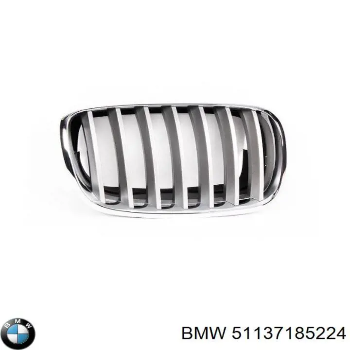 Rejilla derecha del radiador BMW 51137185224 precio, desde 38,90 EUR