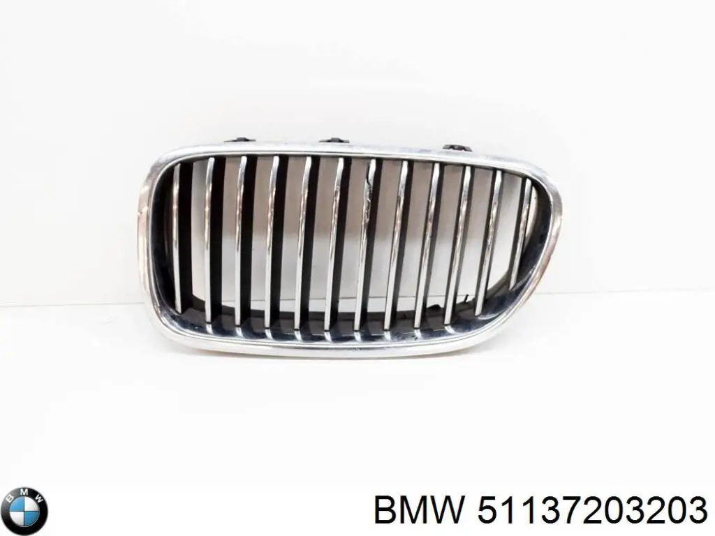 Rejilla izquierda 51137203203 BMW