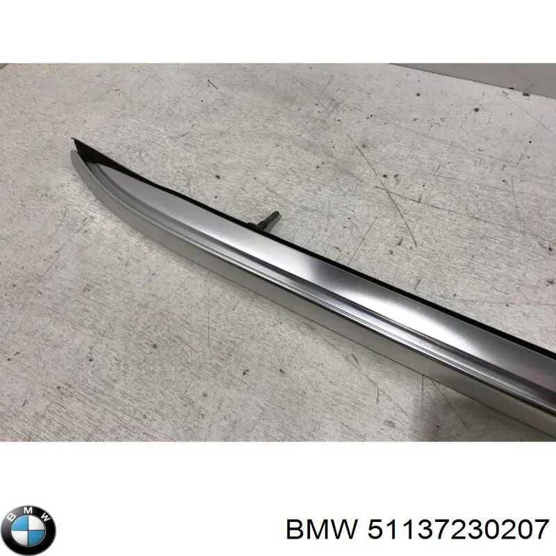 Riel de techo izquierdo BMW 51137230207 precio, desde 216,35 EUR